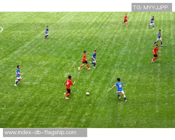 足球护板的选择与使用技巧助你在比赛中保护小腿安全