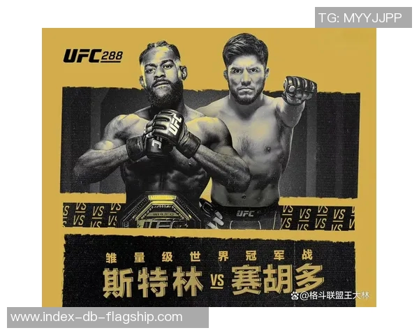 UFC凯恩与牛头人激烈对决谁将成为终极战斗之王